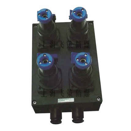 BF28050防爆防腐電源插座箱 BF28050防爆防腐電源插座箱